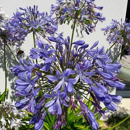 Bed and breakfast Le Temps D'une Pause Brétignolles-sur-Mer