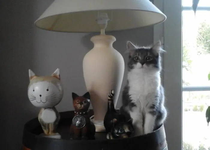 Le Temps D'une Pause 3* Bretignolles-sur-Mer