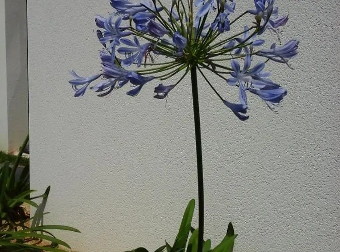 Couette-café Le Temps D'une Pause 3*