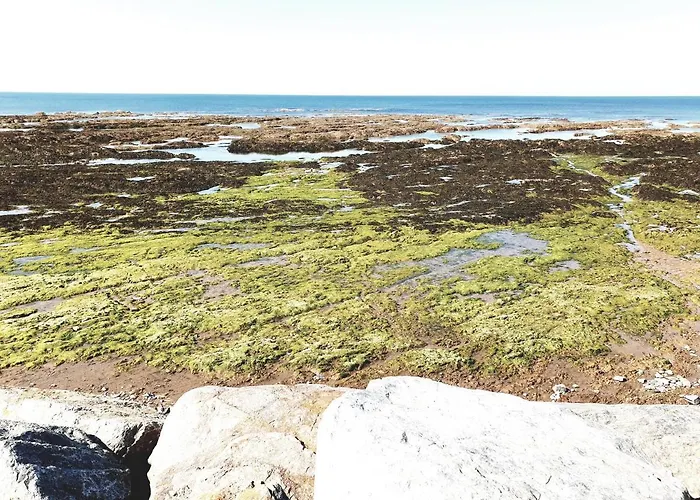 Le Temps D'une Pause 3*