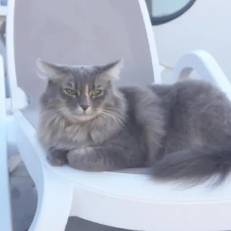 Bed & Breakfast Le Temps D'une Pause Bretignolles-sur-Mer