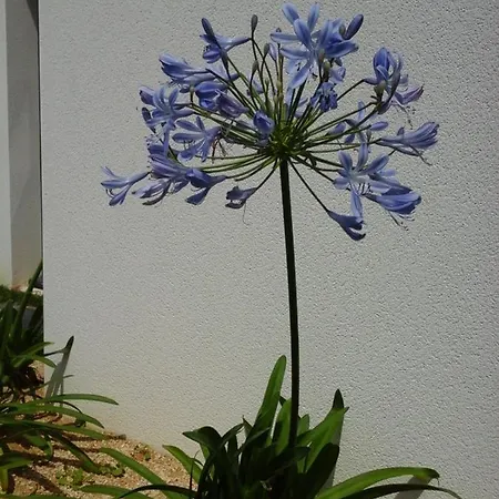 Bed & Breakfast Le Temps D'une Pause 3*