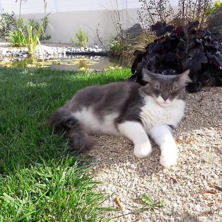 Bed & Breakfast Le Temps D'une Pause 3*