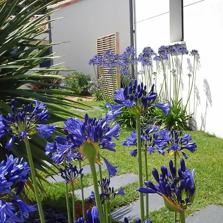 Bed & Breakfast Le Temps D'une Pause