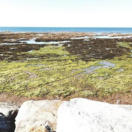 Le Temps D'une Pause 3*