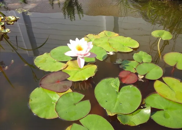 Couette-café Le Temps D'une Pause