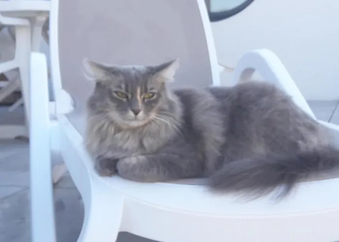 Couette-café Le Temps D'une Pause Bretignolles-sur-Mer