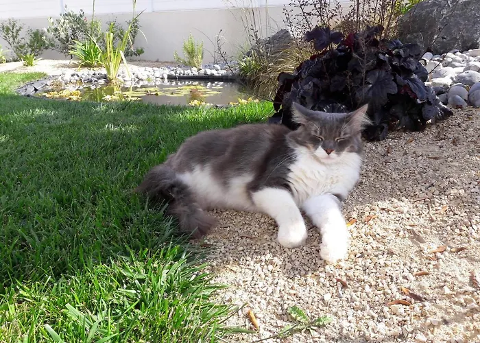 Couette-café Le Temps D'une Pause 3*