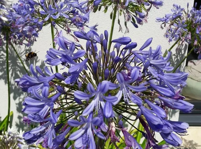 Couette-café Le Temps D'une Pause Bretignolles-sur-Mer