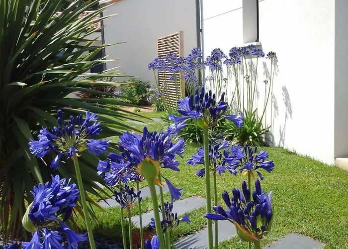 Couette-café Le Temps D'une Pause